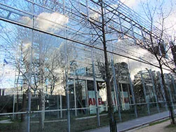Fondation Cartier, Paris